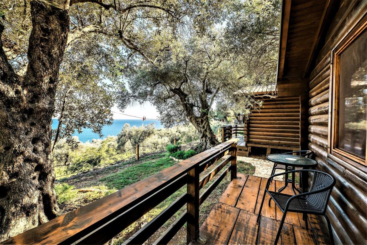 Village de vacances Olive Tree